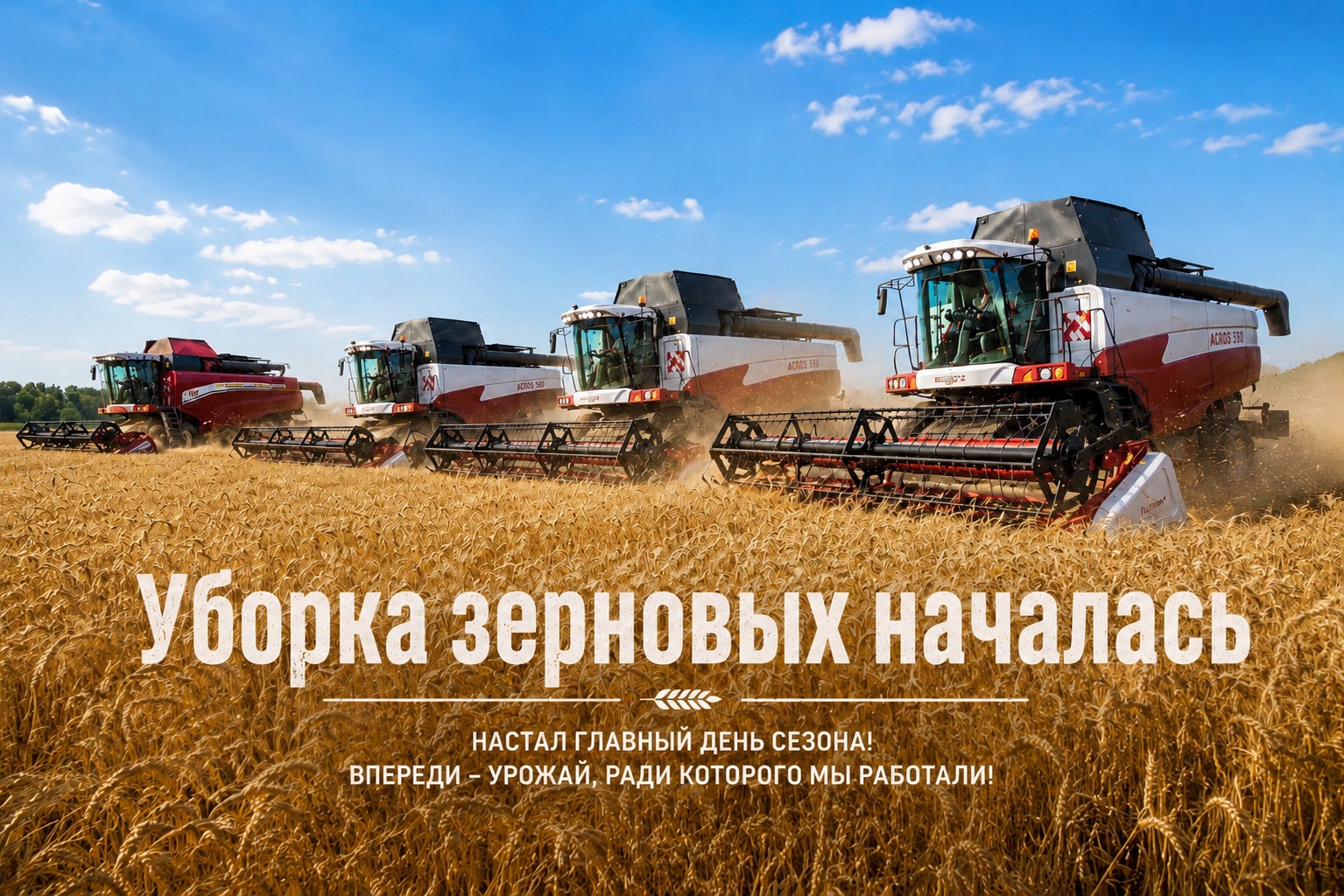 Поле больше не ждет, очередь зерновых